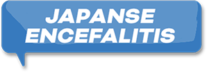 L'encéphalite japonaise